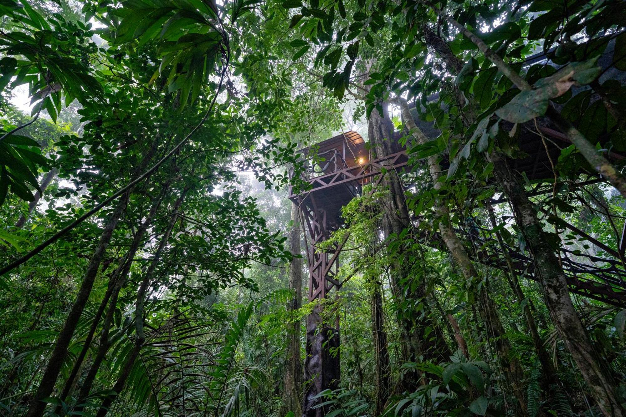Maquenque Ecolodge Boca Tapada Exteriér fotografie